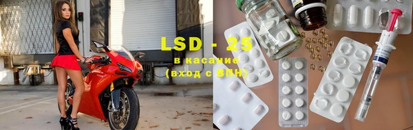 ECSTASY Гусев