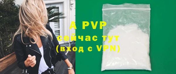 ECSTASY Гусев