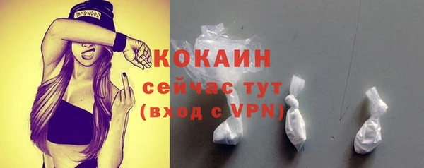 ECSTASY Гусев