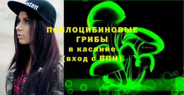 дмт Гусь-Хрустальный