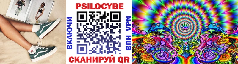 Купить закладки  Кировск  Псилоцибиновые грибы MAGIC MUSHROOMS 